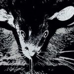 Stephenie Meyer zapowiada nową część Zmierzchu – Midnight Sun