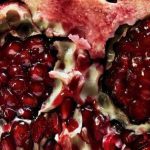 Overwatch: Bohaterka Numbani