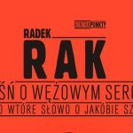 Nowa powieść Sandersona