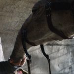 Gotham Knights | Ogłoszono premierę!