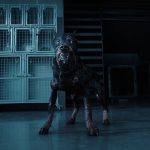 HBO kasuje serial Wychowane przez wilki