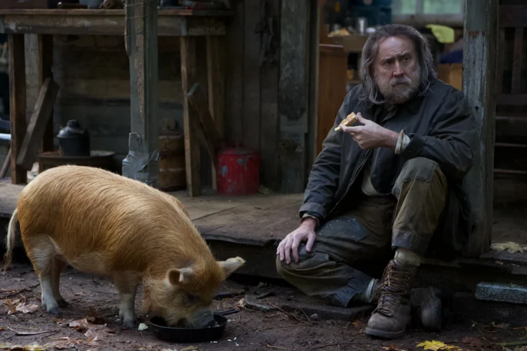 Brody-Pig