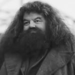 Zmarł Feliks W. Kres