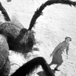 Jeremy Renner uspokaja i pozdrawia fanów | Materiał ze szpitala