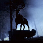 NEWS: Sarah Michelle Gellar? Nie, dziękuję. Kultowa aktorka odmówiła powrotu do „Koszmaru minionego lata”