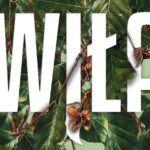 KOMENTARZ: Gra o tron: Szalony Król | Harrenhal wchodzi na scenę i wchodzi na pole minowe