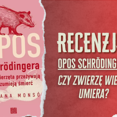 KAWERNA_miniatura