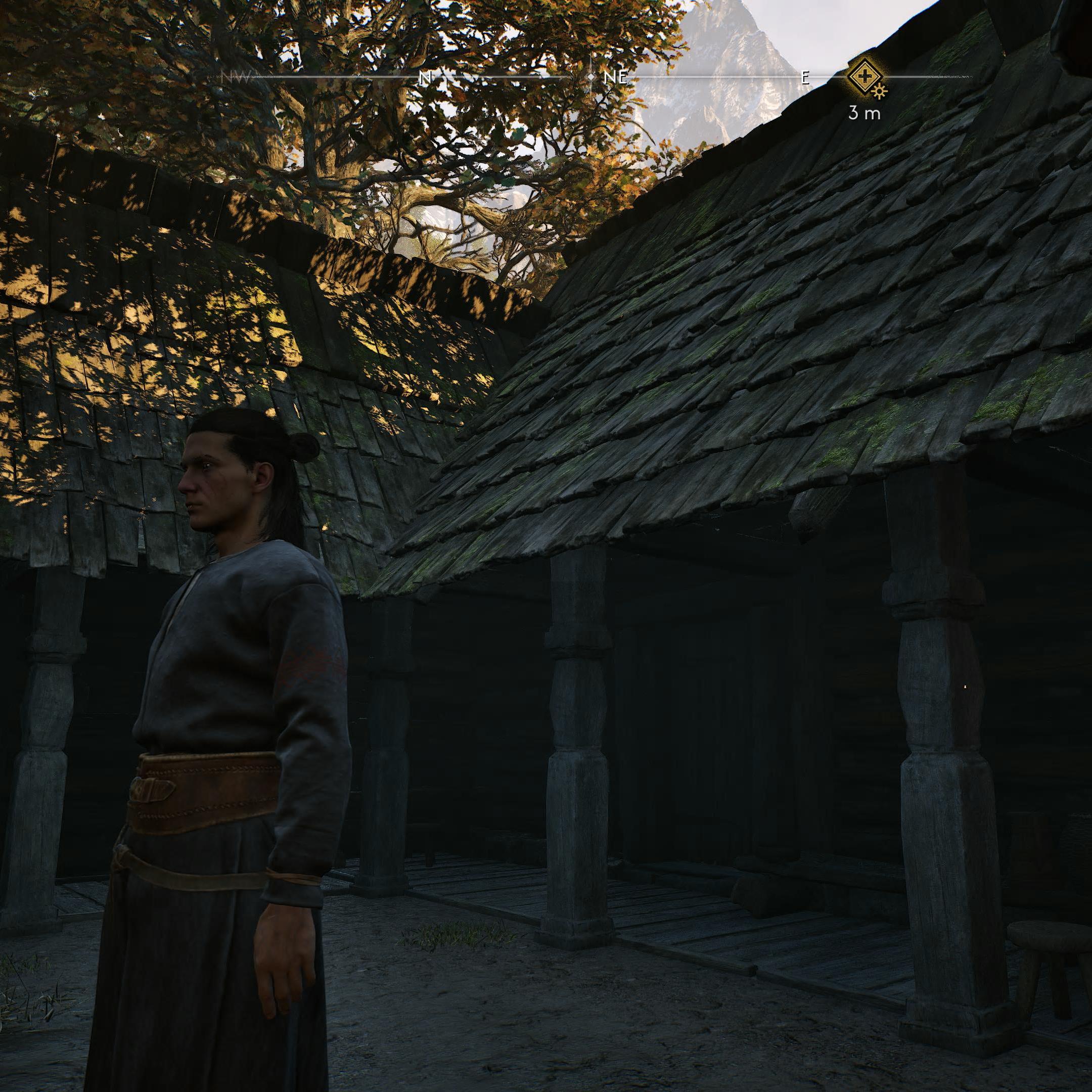 dawnwalker (18)