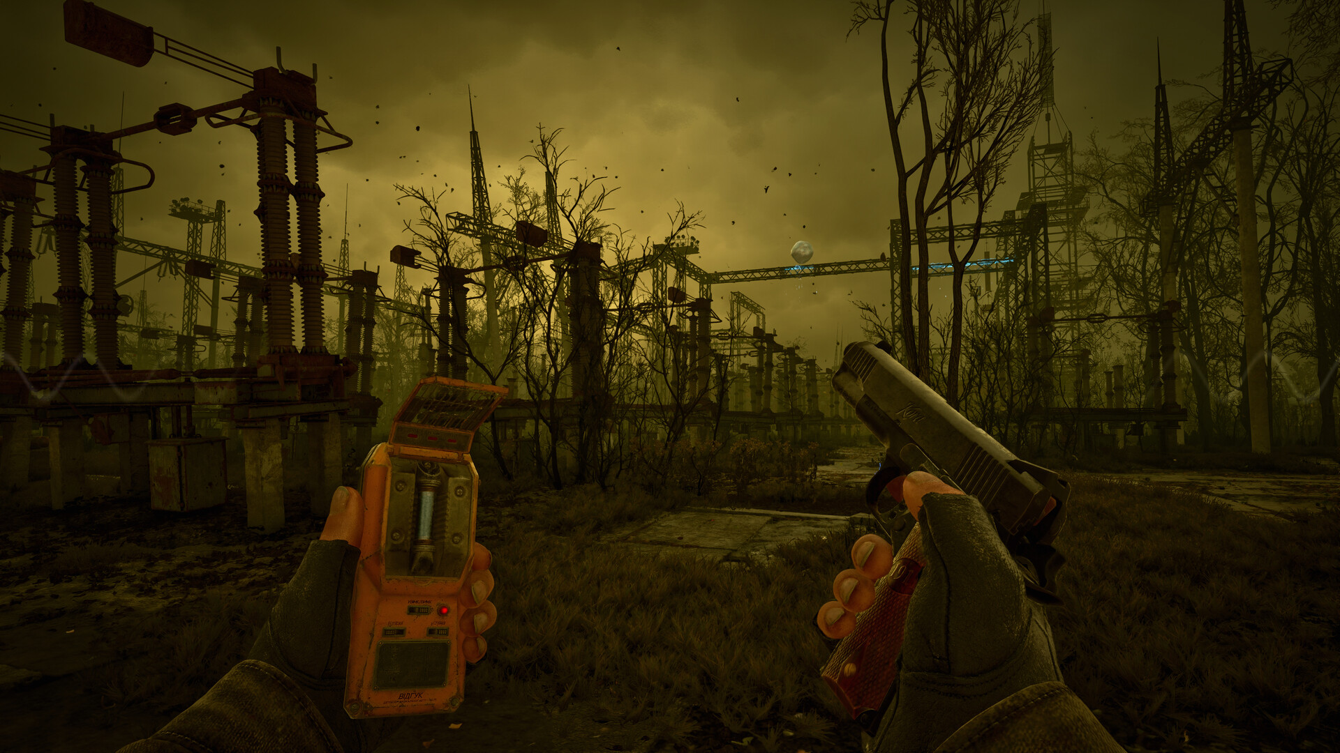 stalker (5)